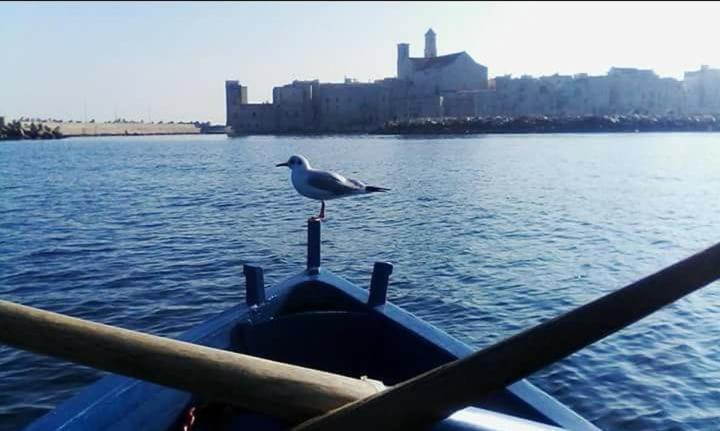 Il Da Vinci Casa Vacanze Giovinazzo Extérieur photo